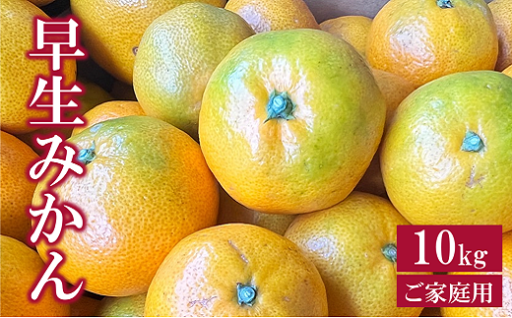農園直送！ご家庭用早生みかん 10kg🍊