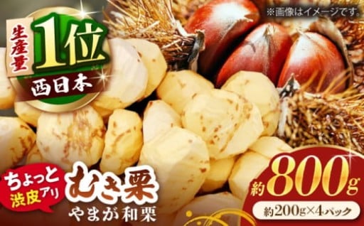 【先行予約】【風味豊か♪】やまが和栗 大粒むき栗 渋皮つき 約800g（約200g×4pc）小分け【古川農園】