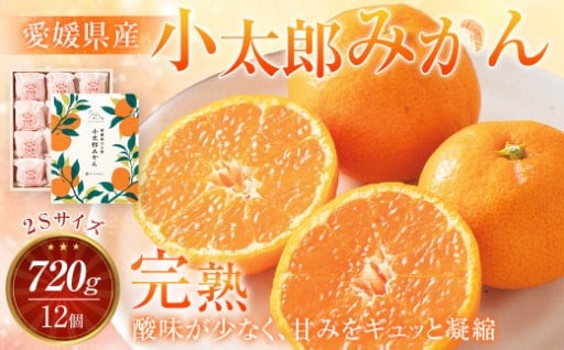 愛媛県産 小太郎みかん 2Sサイズ 720g（12個）