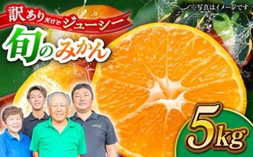 【先行予約】【訳あり】家庭用 みかん 約5kg 詰め合わせ 柑橘【合同会社 社方園】