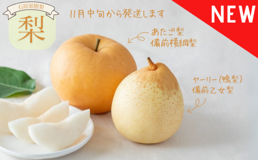 新しい返礼品が増えました～石原果樹園の梨～