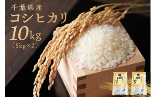 千葉県産コシヒカリ 10kg（5kg×2袋） mi0121-0001
