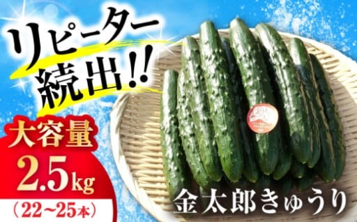 伊吹山の名水育ち！伝説の金太郎きゅうり