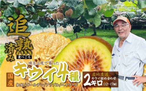 上尾市のキウイフルーツが返礼品になりました！