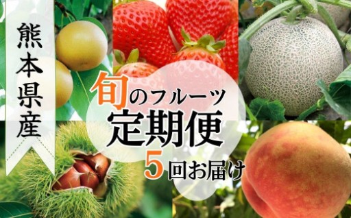 熊本県ＪＡくま産　球磨の季節のフルーツセット(苺、メロン、桃、梨、栗)