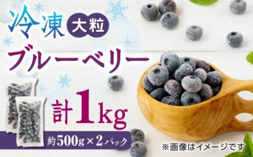 口いっぱいに広がる味と香り。冷凍ブルーベリー。