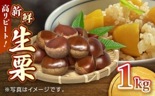 9月より発送開始！甘みのある生栗で栗ご飯にも！