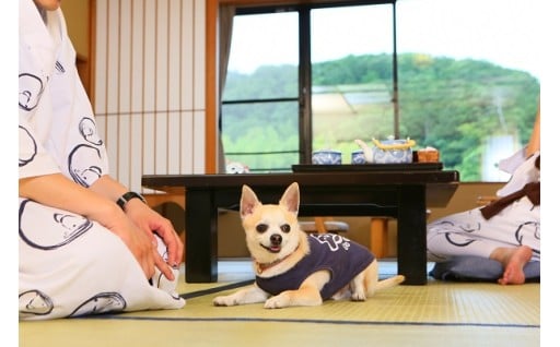 愛犬と寛ぐ大人の隠れ宿で、かけがえのない家族時間をお過ごしください