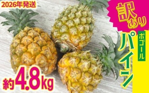 【2026年発送】訳ありパイン 4～8玉 約4.8kg（ボゴールパイン） 