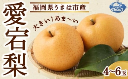 やまんどん 愛宕梨 4玉～6玉 