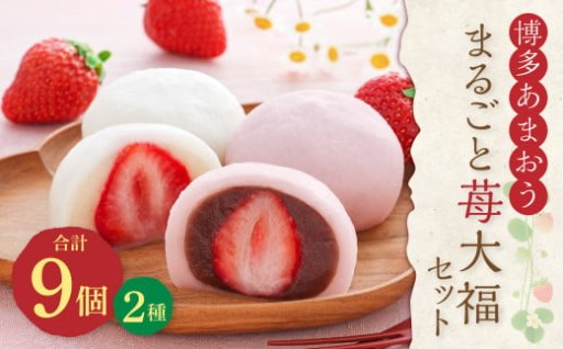 博多あまおう まるごと 苺大福 9個セット