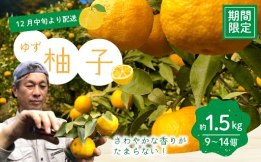 🍊✨早期予約スタート‼️高知県産ゆず🍊