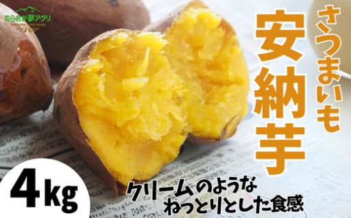 🍠さつまいも 安納芋 4kg🍠