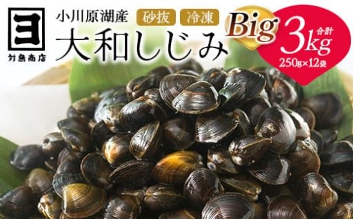 砂抜き済！冷凍しじみBIG 250g×12袋