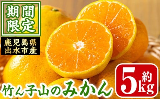≪数量・期間限定≫いずみ産 竹ん子山の早生みかん(約5kg)