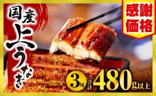 【宮崎県宮崎市】✨感謝価格✨九州産うなぎ蒲焼3尾
