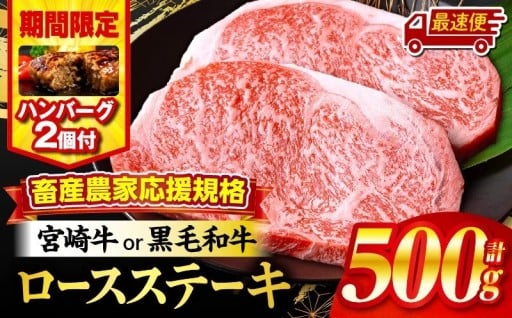 【宮崎県宮崎市】🥩ロースステーキ ハンバーグ付🥩
