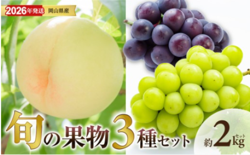 【 2026年発送 】岡山県産白桃 ロイヤル＆シャインマスカット＆ピオーネ 約2kgセット🍑🍇