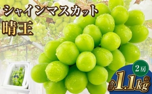岡山県産 シャインマスカット 晴王 2房 約1.1kg