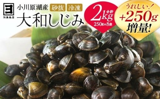 【250g増量】砂抜き済！冷凍・小川原湖産大和しじみ