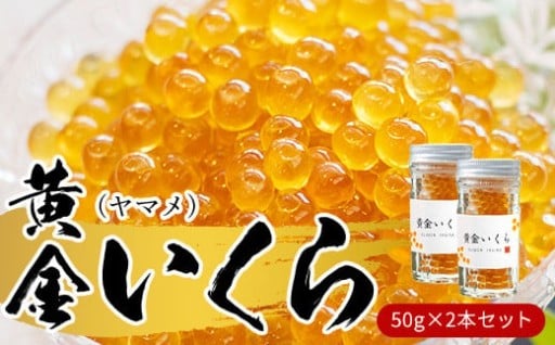【幻の珍味】「黄金いくら」2本セット（ヤマメの卵醤油漬け） 