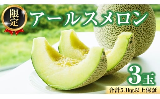 この道40年のメロン職人たちが贈る愛情たっぷりの逸品🍈