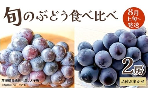 ぶどう食べ比べ🍇お気に入りを見つけてください！
