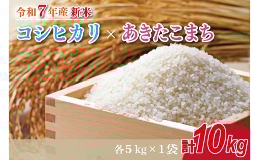 ★新米★R7年産 コシヒカリ 5kg+あきたこまち 5kg