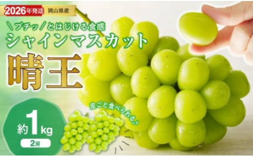 岡山県産シャインマスカット「晴王」 秀品　約1㎏（2房）（令和8年8月中旬～10月頃発送）🍇✨
