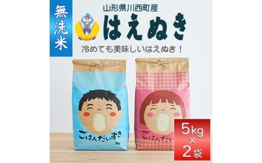 《先行受付》令和7年産　はえぬき10kg(5kg×2袋)＜無洗米＞【1567622】