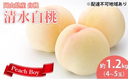 岡山県産 清水 白桃 約1.2kg(4～5玉) 《2026年7月中旬-8月上旬頃出荷》