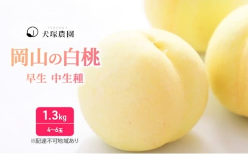 桃 2026年 先行予約 ご家庭用 訳あり 1.3kg 4～6玉