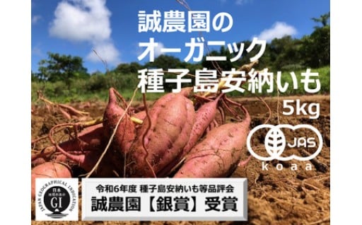 令和７年度産　オーガニック種子島安納いも【５ｋｇ】