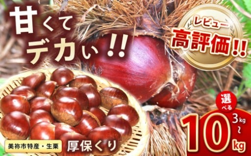 【先行予約】甘くて デカい ! 厚保くり ( 生栗 ) 3kg 5kg 10kg