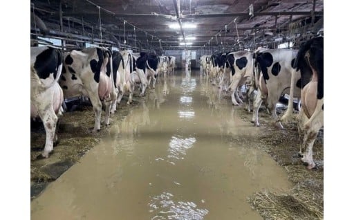 【令和７年８月記録的豪雨】豊富町に甚大な被害が発生しています