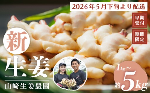 ✨主役級の美味しさ✨四万十産の新生姜🌿