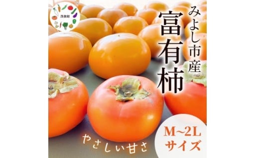 🍁秋の味覚🍁　富有柿　約3kg(16個)