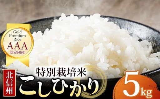 【先行予約】木島平産 コシヒカリ 約5kg
