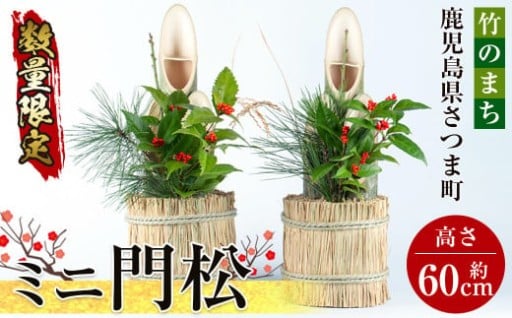 ＜2025年12月23日より順次発送＞年末限定！ミニ門松(直径約20cm・高さ60cm)を一対(2個)！