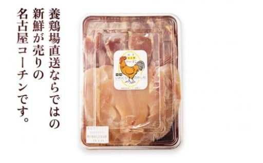 かしわの最高峰！岩倉の名古屋コーチン