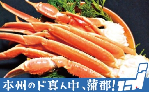 ボイルズワイガニ！カニの風味と甘みを感じていただける一品です！