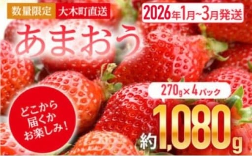【先行予約】アフター保証で安心！大人気の『あまおう』4パック