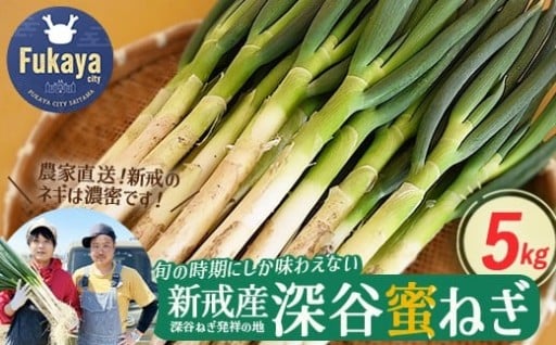 ＜先行予約＞深谷新戒産 深谷ねぎ 5kg