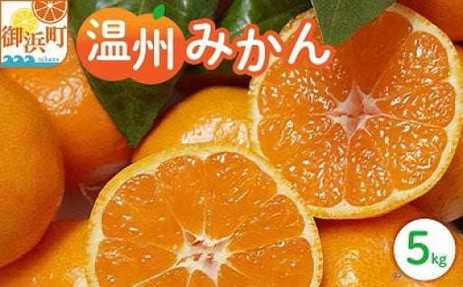 【冬場の家族団らんに👨‍👧‍👧】丸安青果の御浜温州みかん5キロ（家庭用)