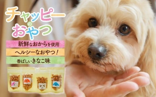 ＼森のとうふ屋さんの思いやり型返礼品が新たに登場／