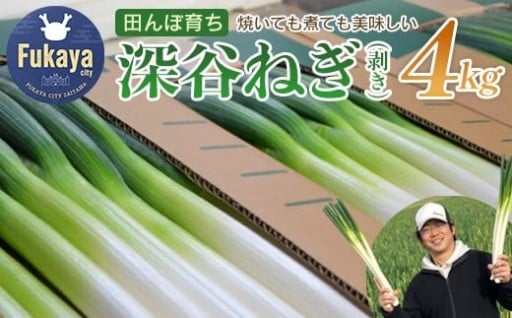 ＜先行予約＞田んぼ育ち 深谷ねぎ 4kg