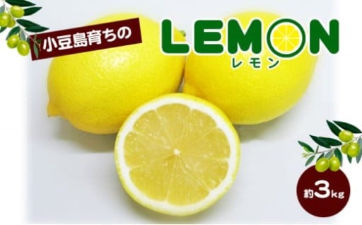 先行予受付中！小豆島育ちのレモン 約3kg 