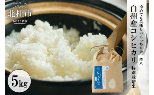 【令和7年度新米先行予約】白州産コシヒカリ　特別栽培米　5キロ