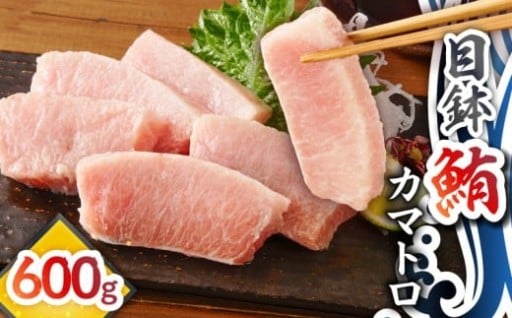 希少部位！目鉢鮪「カマトロ」のご紹介✨