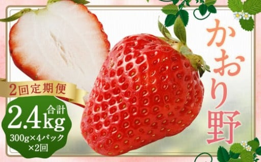 【2回定期便】いちご「かおり野」プレミアム 合計約2.4kg